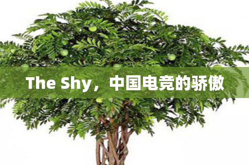 The Shy，中国电竞的骄傲