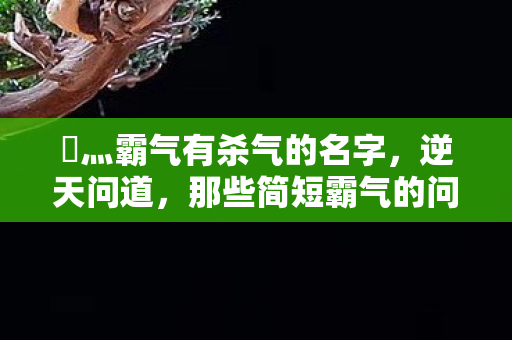 乄灬霸气有杀气的名字,逆天问道,那些简短霸气的问道游戏名字让你称霸全场 乄灬霸气有杀气的名字,逆天问道,那些简短霸气的问道游戏名字让你称霸全场