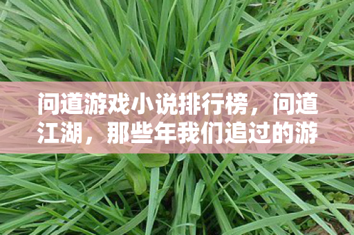 问道游戏小说排行榜，问道江湖，那些年我们追过的游戏小说