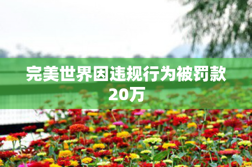 完美世界因违规行为被罚款20万