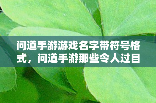 问道手游那些令人过目不忘的游戏名字图片