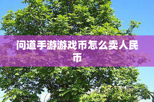 问道手游游戏币怎么卖人民币 问道手游游戏币怎么卖人民币