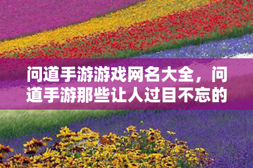 问道手游那些让人过目不忘的游戏网名图片