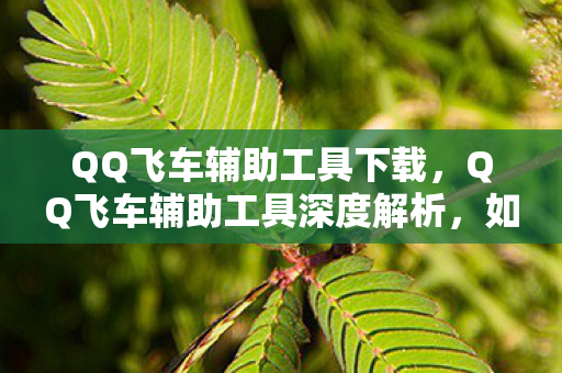 QQ飞车辅助工具下载,QQ飞车辅助工具深度解析,如何选择安全高效的赛道助手 QQ飞车辅助工具下载,QQ飞车辅助工具深度解析,如何选择安全高效的赛道助手