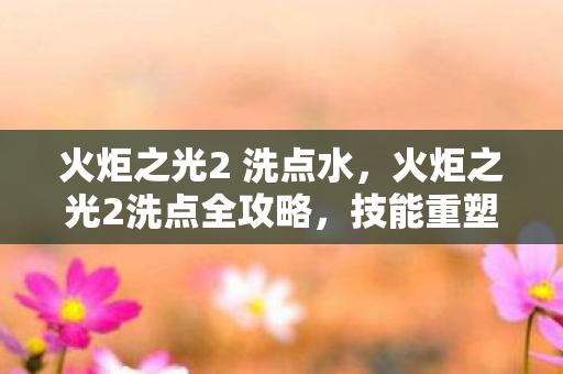 火炬之光2 洗点水，火炬之光2洗点全攻略，技能重塑与角色进阶的终极指南