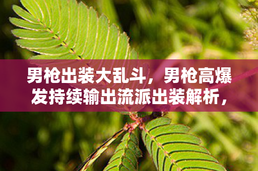 男枪出装大乱斗,男枪高爆发持续输出流派出装解析,从对线到团战的装备选择逻辑 男枪出装大乱斗,男枪高爆发持续输出流派出装解析,从对线到团战的装备选择逻辑