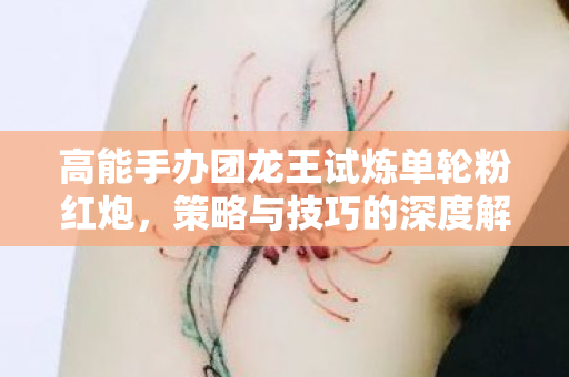 高能手办团龙王试炼单轮粉红炮,策略与技巧的深度解析 高能手办团龙王试炼单轮粉红炮,策略与技巧的深度解析