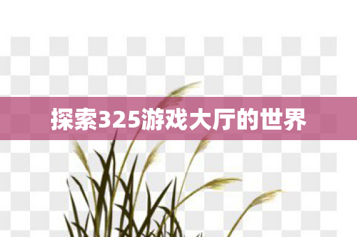 探索325游戏大厅的世界 探索325游戏大厅的世界