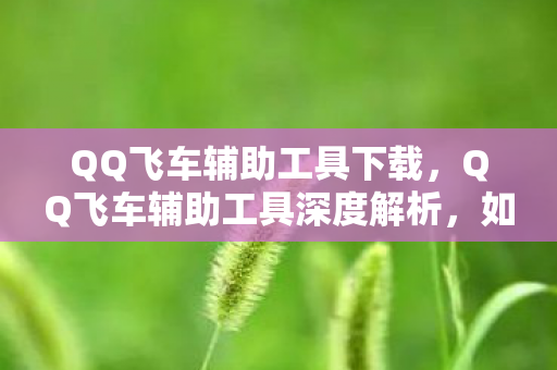 QQ飞车辅助工具下载,QQ飞车辅助工具深度解析,如何选择安全高效的辅助方案 QQ飞车辅助工具下载,QQ飞车辅助工具深度解析,如何选择安全高效的辅助方案
