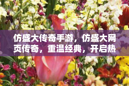 仿盛大传奇手游,仿盛大网页传奇,重温经典,开启热血新征程 仿盛大传奇手游,仿盛大网页传奇,重温经典,开启热血新征程