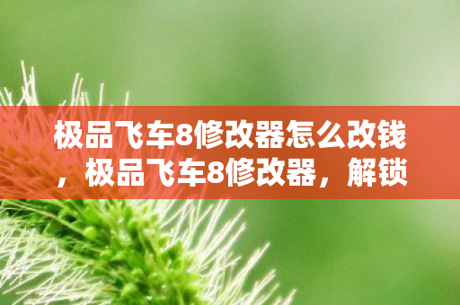 极品飞车8修改器怎么改钱,极品飞车8修改器,解锁速度与激情的无限可能 极品飞车8修改器怎么改钱,极品飞车8修改器,解锁速度与激情的无限可能