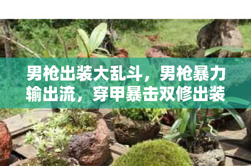 男枪出装大乱斗,男枪暴力输出流,穿甲暴击双修出装全解析 男枪出装大乱斗,男枪暴力输出流,穿甲暴击双修出装全解析