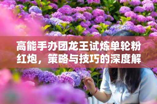 高能手办团龙王试炼单轮粉红炮,策略与技巧的深度解析 高能手办团龙王试炼单轮粉红炮,策略与技巧的深度解析