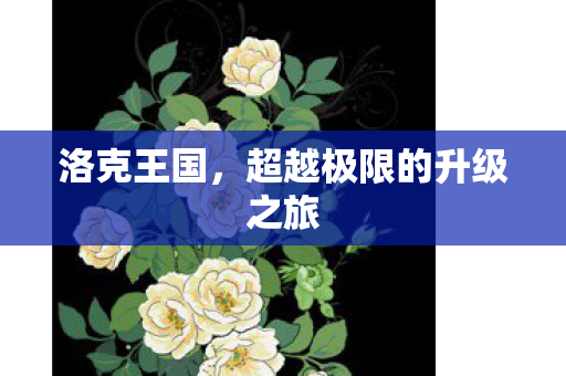 洛克王国，超越极限的升级之旅
