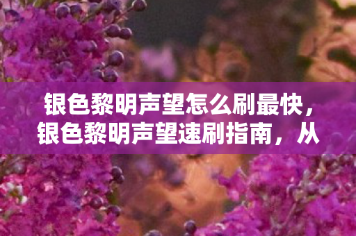 银色黎明声望怎么刷最快,银色黎明声望速刷指南,从陌生到崇敬的高效路径 银色黎明声望怎么刷最快,银色黎明声望速刷指南,从陌生到崇敬的高效路径