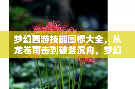 梦幻西游技能图标大全，从龙卷雨击到破釜沉舟，梦幻西游技能图标背后的文化密码