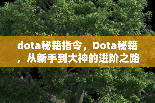 dota秘籍指令,Dota秘籍,从新手到大神的进阶之路 dota秘籍指令,Dota秘籍,从新手到大神的进阶之路