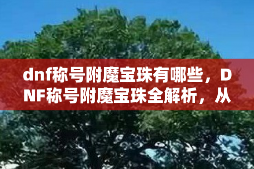 dnf称号附魔宝珠有哪些,DNF称号附魔宝珠全解析,从经典到进阶的属性提升之路 dnf称号附魔宝珠有哪些,DNF称号附魔宝珠全解析,从经典到进阶的属性提升之路