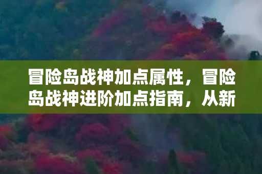 冒险岛战神加点属性,冒险岛战神进阶加点指南,从新手到大神的蜕变之路 冒险岛战神加点属性,冒险岛战神进阶加点指南,从新手到大神的蜕变之路