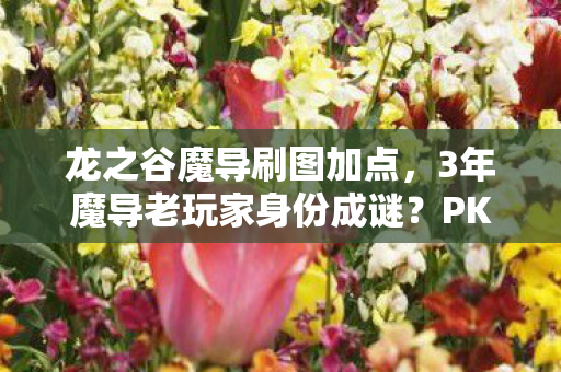 龙之谷魔导刷图加点,3年魔导老玩家身份成谜?PK加点背后的血泪成长史 龙之谷魔导刷图加点,3年魔导老玩家身份成谜?PK加点背后的血泪成长史
