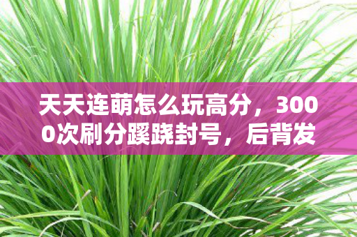 天天连萌怎么玩高分,3000次刷分蹊跷封号,后背发凉才懂这游戏在玩我 天天连萌怎么玩高分,3000次刷分蹊跷封号,后背发凉才懂这游戏在玩我