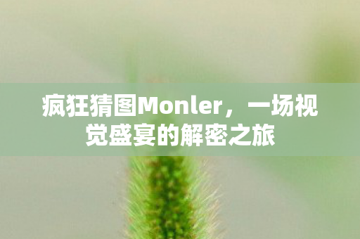 疯狂猜图Monler，一场视觉盛宴的解密之旅