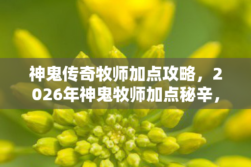 神鬼传奇牧师加点攻略，2026年神鬼牧师加点秘辛，伏笔深埋，鼻子一酸忆旧情
