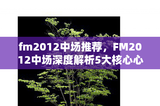fm2012中场推荐，FM2012中场深度解析5大核心心得+3类球员避坑指南，助你打造中场铁三角！