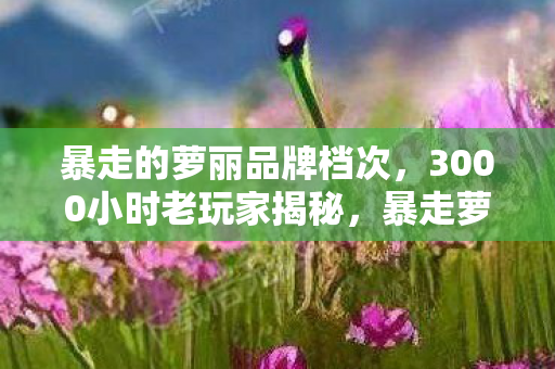 暴走的萝丽品牌档次,3000小时老玩家揭秘,暴走萝莉的灯笼,藏着多少游戏人的辛酸泪? 暴走的萝丽品牌档次,3000小时老玩家揭秘,暴走萝莉的灯笼,藏着多少游戏人的辛酸泪?