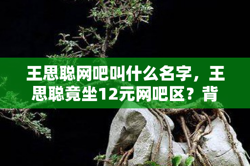 王思聪网吧叫什么名字,王思聪竟坐12元网吧区?背后隐情曝光,真让人吓一跳! 王思聪网吧叫什么名字,王思聪竟坐12元网吧区?背后隐情曝光,真让人吓一跳!