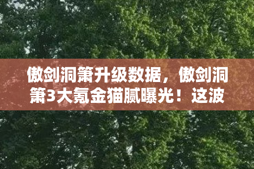 傲剑洞箫升级数据,傲剑洞箫3大氪金猫腻曝光!这波操作让百万玩家集体上头又破防 傲剑洞箫升级数据,傲剑洞箫3大氪金猫腻曝光!这波操作让百万玩家集体上头又破防