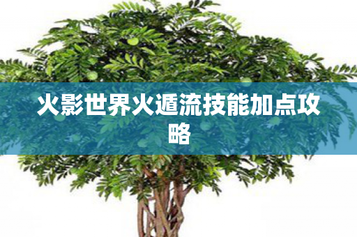 火影世界火遁流技能加点攻略