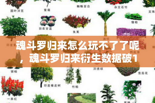 魂斗罗归来怎么玩不了了呢,魂斗罗归来衍生数据破10亿!破圈联动竟让游戏闯进音乐综艺与时尚T台? 魂斗罗归来怎么玩不了了呢,魂斗罗归来衍生数据破10亿!破圈联动竟让游戏闯进音乐综艺与时尚T台?
