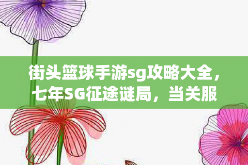 街头篮球手游sg攻略大全,七年SG征途谜局,当关服倒计时撞碎泪目防线 街头篮球手游sg攻略大全,七年SG征途谜局,当关服倒计时撞碎泪目防线