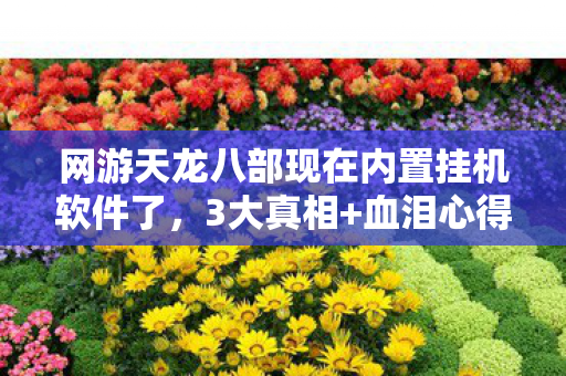 网游天龙八部现在内置挂机软件了,3大真相+血泪心得天龙八部外挂避坑指南,别让捷径毁账号! 网游天龙八部现在内置挂机软件了,3大真相+血泪心得天龙八部外挂避坑指南,别让捷径毁账号!
