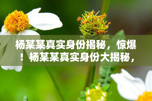 杨某某真实身份揭秘,惊爆!杨某某真实身份大揭秘,3大反转让我三观碎一地! 杨某某真实身份揭秘,惊爆!杨某某真实身份大揭秘,3大反转让我三观碎一地!