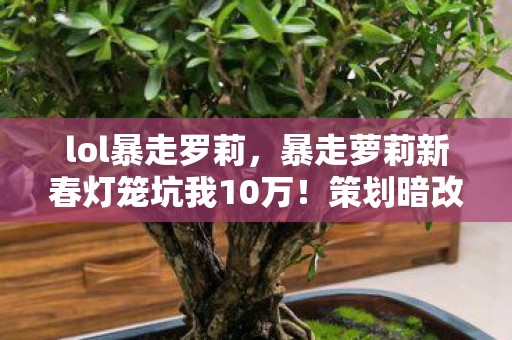 lol暴走罗莉，暴走萝莉新春灯笼坑我10万！策划暗改概率的隐情吓你一跳