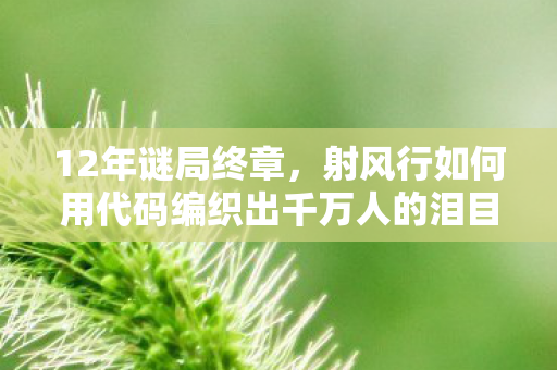 12年谜局终章,射风行如何用代码编织出千万人的泪目青春 12年谜局终章,射风行如何用代码编织出千万人的泪目青春