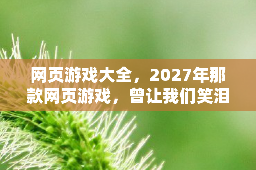 网页游戏大全，2027年那款网页游戏，曾让我们笑泪交织，如今只剩鼻子一酸的回忆