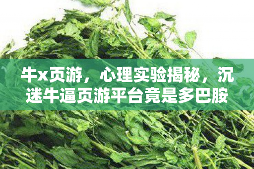 牛x页游，心理实验揭秘，沉迷牛逼页游平台竟是多巴胺回路手术？细思极恐！
