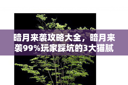 暗月来袭攻略大全,暗月来袭99%玩家踩坑的3大猫腻!这波操作让我血压飙升又上头 暗月来袭攻略大全,暗月来袭99%玩家踩坑的3大猫腻!这波操作让我血压飙升又上头