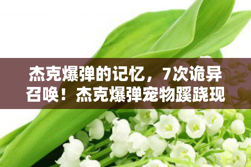 杰克爆弹的记忆,7次诡异召唤!杰克爆弹宠物蹊跷现世,玩家后背发凉直呼见鬼 杰克爆弹的记忆,7次诡异召唤!杰克爆弹宠物蹊跷现世,玩家后背发凉直呼见鬼