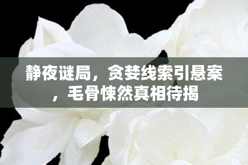 静夜谜局,贪婪线索引悬案,毛骨悚然真相待揭 静夜谜局,贪婪线索引悬案,毛骨悚然真相待揭