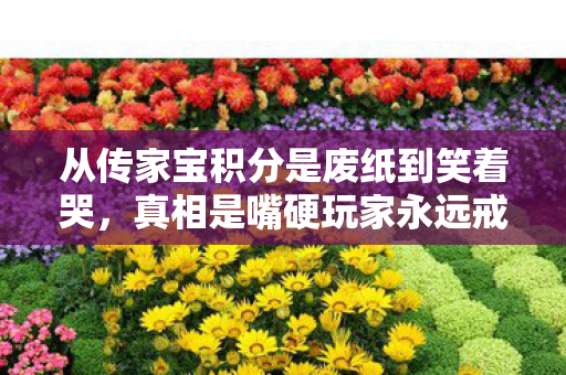 从传家宝积分是废纸到笑着哭，真相是嘴硬玩家永远戒不掉的瘾