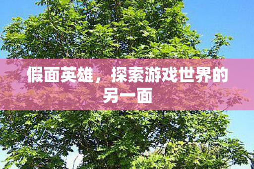 假面英雄，探索游戏世界的另一面