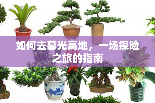 如何去暮光高地，一场探险之旅的指南