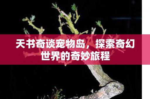 天书奇谈宠物岛，探索奇幻世界的奇妙旅程