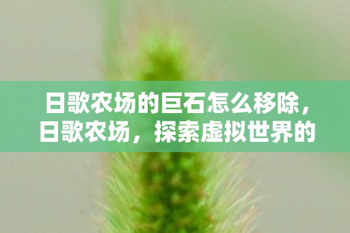 日歌农场的巨石怎么移除，日歌农场，探索虚拟世界的绿色生态之旅
