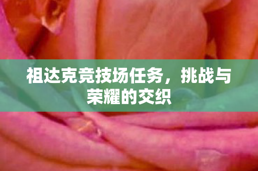 祖达克竞技场任务，挑战与荣耀的交织