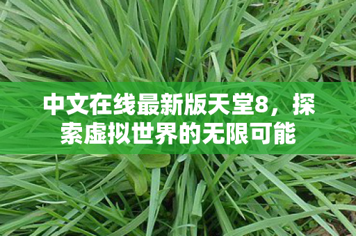 中文在线最新版天堂8，探索虚拟世界的无限可能